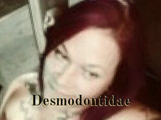 Desmodontidae