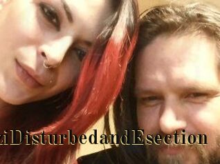DeziDisturbedandEsection