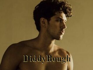 DiddyRough