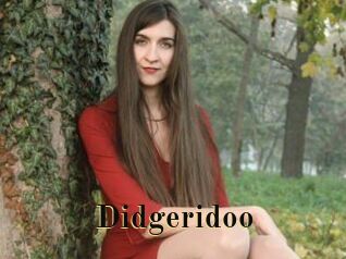 Didgeridoo