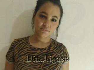 Dinabigass