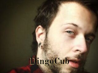 DingoCub