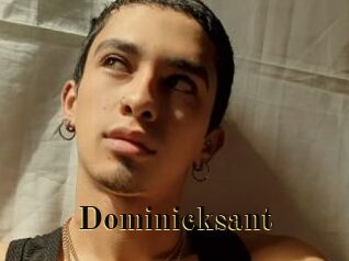 Dominicksant