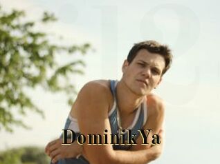 DominikYa
