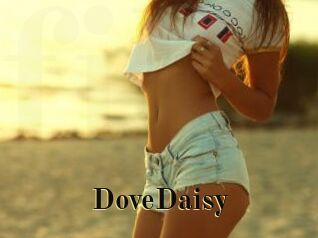 DoveDaisy