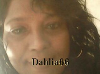 Dahlia66
