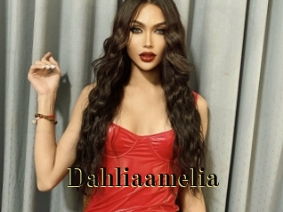 Dahliaamelia