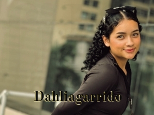 Dahliagarrido