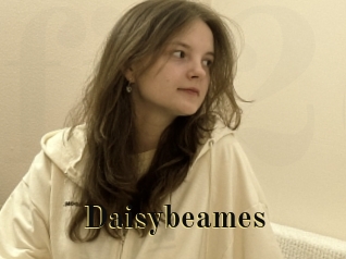 Daisybeames
