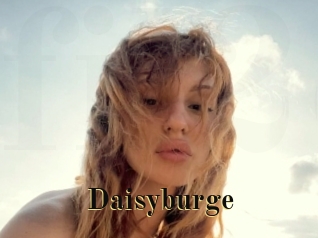 Daisyburge