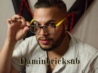 Daminbricksub