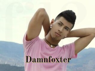 Damnfoxter