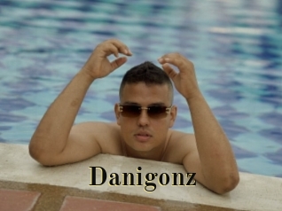 danigonz Films 2 Q