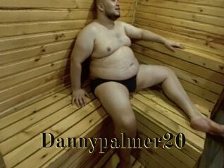 Dannypalmer20