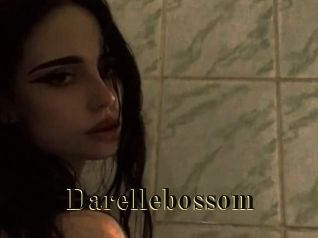 Darellebossom