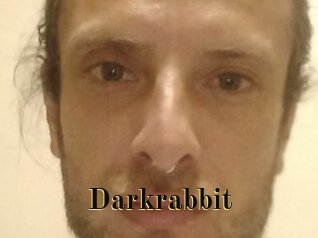 Darkrabbit