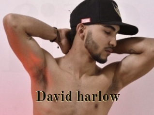 david_harlow Films 2 Q
