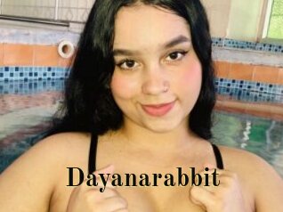 Dayanarabbit