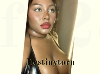 destinytorn Films 2 Q