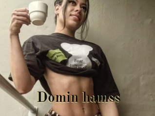 Domin_hamss