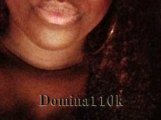Domina110k