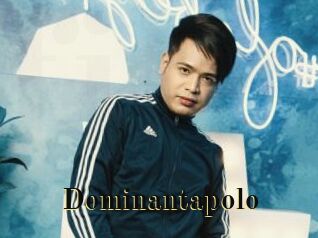 Dominantapolo