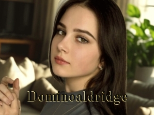 Dominoaldridge
