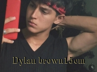 Dylan_brown15cm