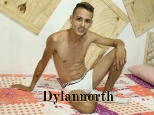 Dylan_north