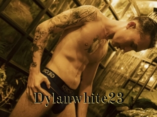 dylanwhite23 Films 2 Q