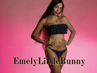 EmelyLittleBunny