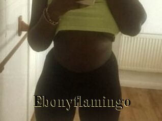 Ebony_flamingo
