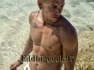 Eddbigcock97