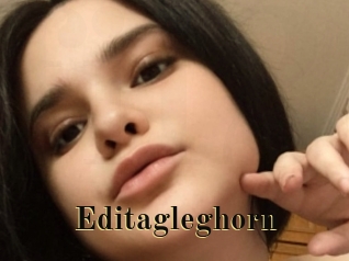 editagleghorn Films 2 Q