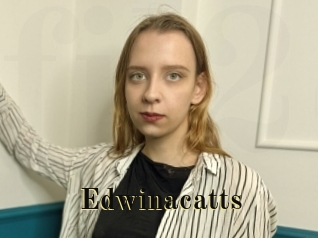 Edwinacatts