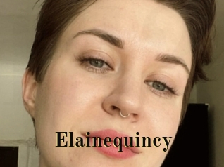 Elainequincy
