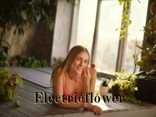 Electricflower