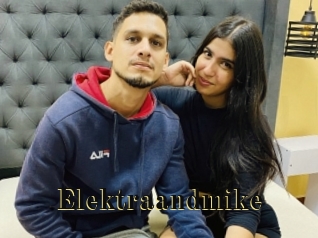 Elektraandmike