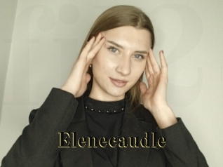 Elenecaudle