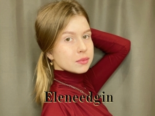 Eleneedgin