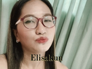 Elisakun