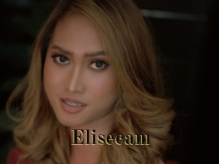 Elisecam