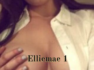 elliemae_1 Films 2 Q