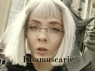 Elsamuscarie