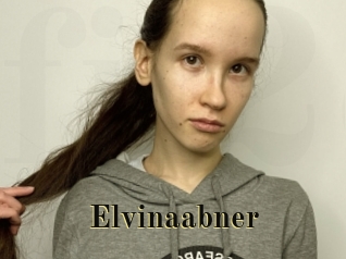 Elvinaabner
