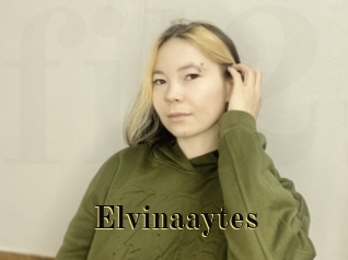 Elvinaaytes