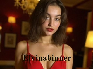 Elvinabinner