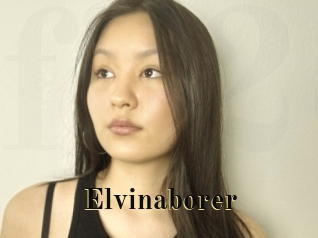 Elvinaborer