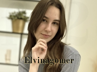 Elvinagomer