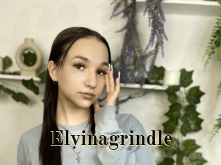 Elvinagrindle